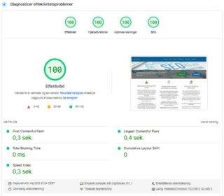 Hastighedsoptimering af WordPress hjemmesiden www.proseosolutions.dk